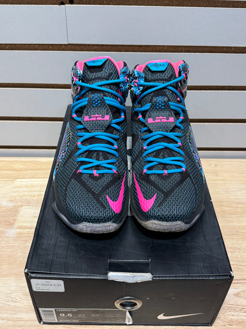 Nike LeBron 12 23 Chromosomes Sz 9.5