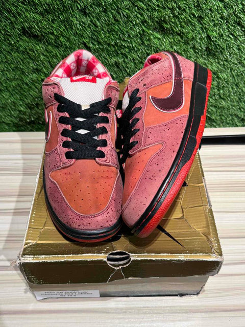 Nike SB Dunk Low Concepts Red Lobster Sz 10.5