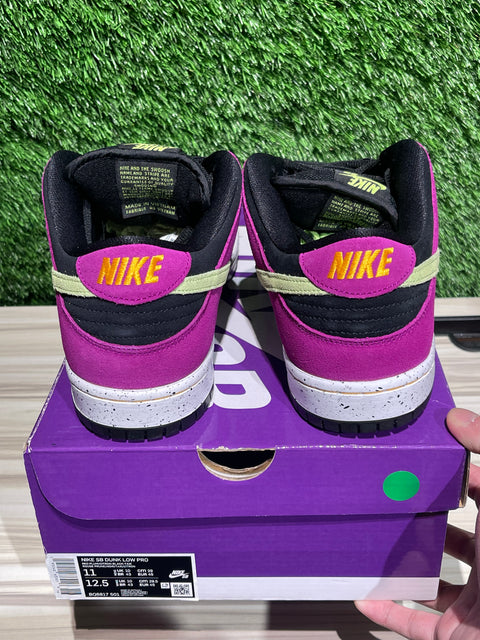 Nike SB Dunk Low Pro ACG Terra Red Plum Sz 11M
