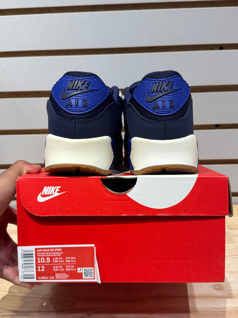 Nike Air Max 90 Home & Away Blue Sz 10.5