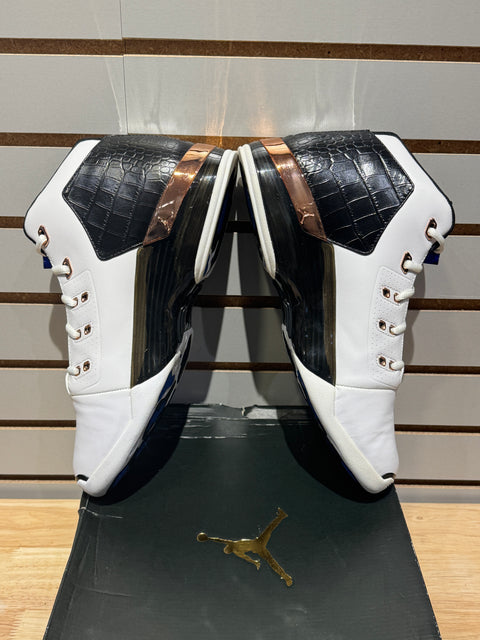Jordan 17 Retro Copper (2016) Sz 12