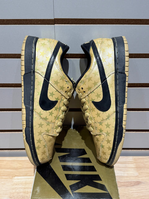 Nike SB Dunk Low Trickstar Sz 8
