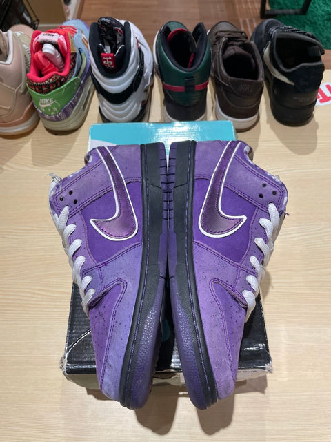 Nike SB Dunk Low Concepts Purple Lobster