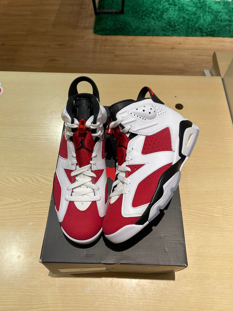 Jordan 6 Retro Carmine (2021)