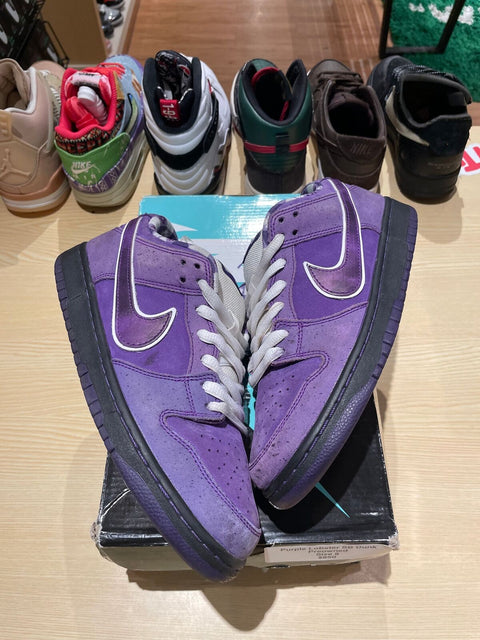 Nike SB Dunk Low Concepts Purple Lobster