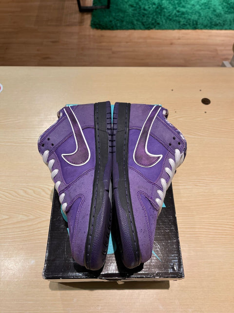 Nike SB Dunk Low Concepts Purple Lobster